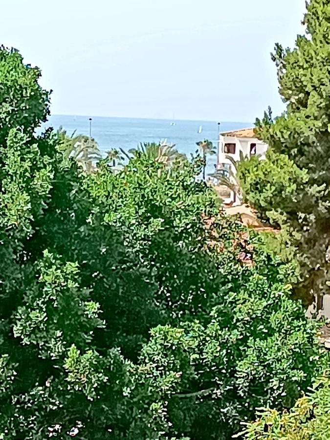 De Pinoso Apartment Torrevieja Bagian luar foto